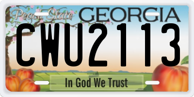 GA license plate CWU2113