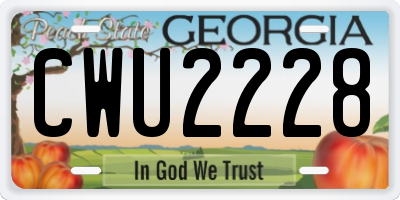 GA license plate CWU2228