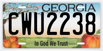 GA license plate CWU2238