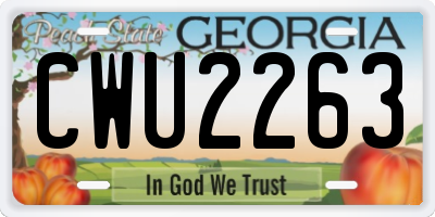 GA license plate CWU2263