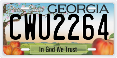 GA license plate CWU2264