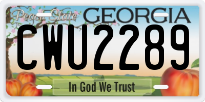 GA license plate CWU2289
