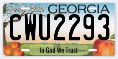 GA license plate CWU2293