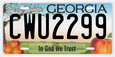 GA license plate CWU2299