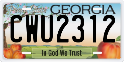 GA license plate CWU2312