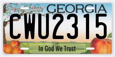 GA license plate CWU2315