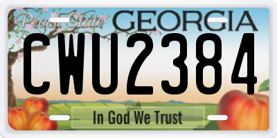 GA license plate CWU2384