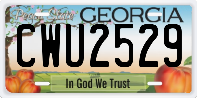 GA license plate CWU2529