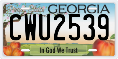 GA license plate CWU2539