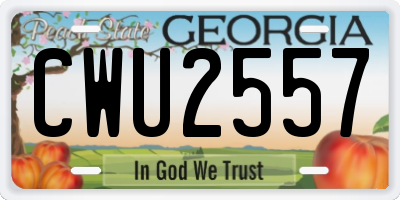 GA license plate CWU2557