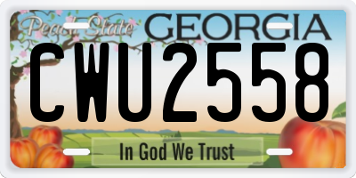 GA license plate CWU2558