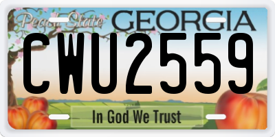 GA license plate CWU2559