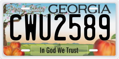 GA license plate CWU2589