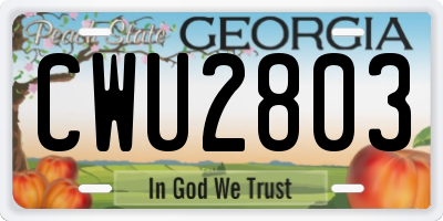 GA license plate CWU2803