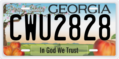 GA license plate CWU2828