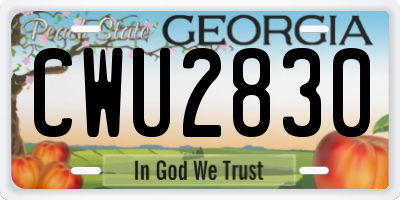 GA license plate CWU2830