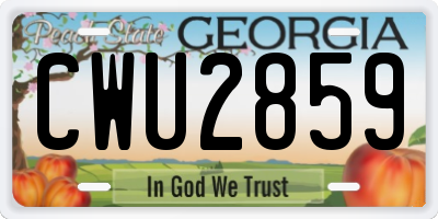 GA license plate CWU2859