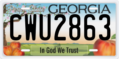 GA license plate CWU2863