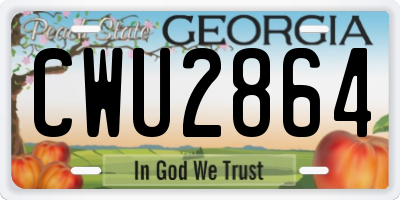 GA license plate CWU2864