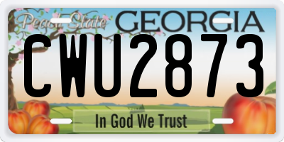 GA license plate CWU2873