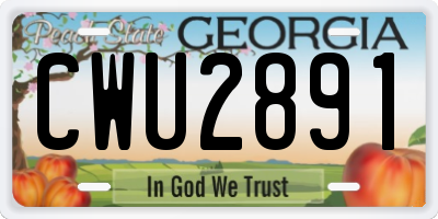 GA license plate CWU2891