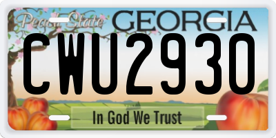 GA license plate CWU2930