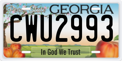 GA license plate CWU2993
