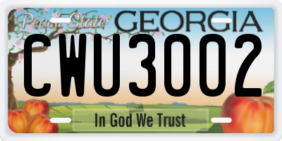 GA license plate CWU3002