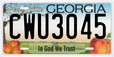 GA license plate CWU3045