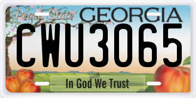 GA license plate CWU3065