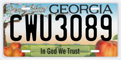 GA license plate CWU3089