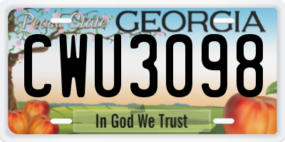 GA license plate CWU3098