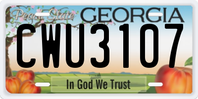GA license plate CWU3107