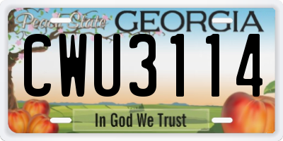 GA license plate CWU3114