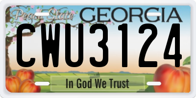 GA license plate CWU3124