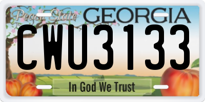 GA license plate CWU3133