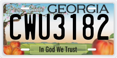GA license plate CWU3182