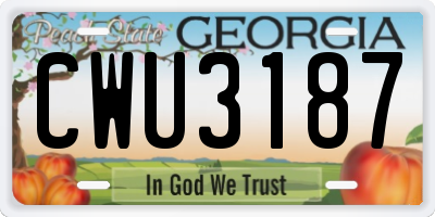 GA license plate CWU3187