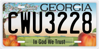 GA license plate CWU3228