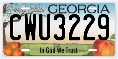 GA license plate CWU3229