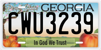 GA license plate CWU3239