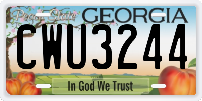 GA license plate CWU3244
