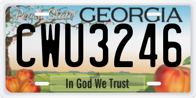 GA license plate CWU3246