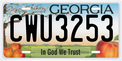 GA license plate CWU3253