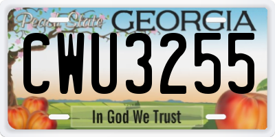 GA license plate CWU3255