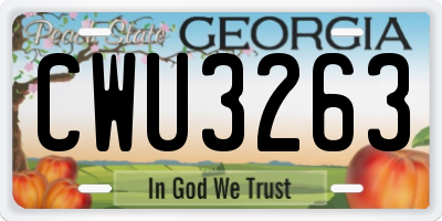 GA license plate CWU3263
