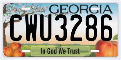 GA license plate CWU3286