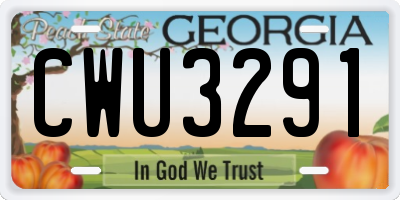 GA license plate CWU3291