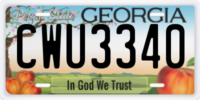 GA license plate CWU3340