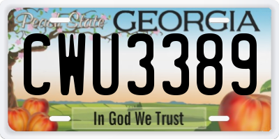 GA license plate CWU3389